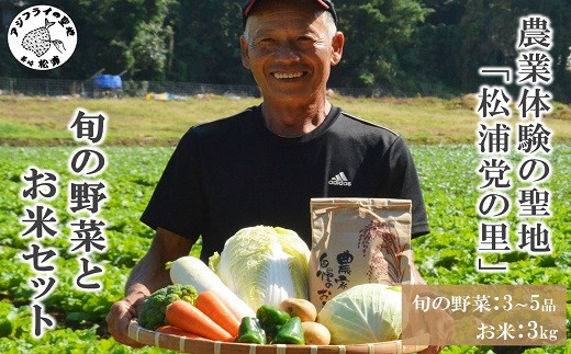 
            農漁村体験の聖地「松浦党の里」旬の野菜とお米(3kg)セット( 野菜 旬 お米 米 野菜詰め合わせ 旬の野菜 地元野菜 セット 松浦市 松浦産キャベツ 白菜 ブロッコリー ピーマン 白ネギ 人参 大根 ほうれん草 みかん じゃがいも さつまいも )【B5-095】
          