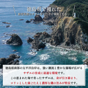 天然サザエ 1kg 【 サザエ 】