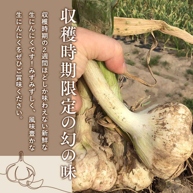 ≪6月下旬～順次発送≫青森県 平川市産 土付き生にんにく 約1kg【青森県 平川市 しあわせj-Farm】
