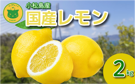 【2026年10月発送】レモン 2kg 秀品  国産 檸檬 ワックス不使用 防腐剤不使用 