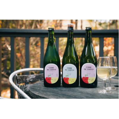 ふるさと納税 南箕輪村 シードル　ド　カミーナ辛口750ml1本・甘口750ml2本(750ml×3本) |  | 02