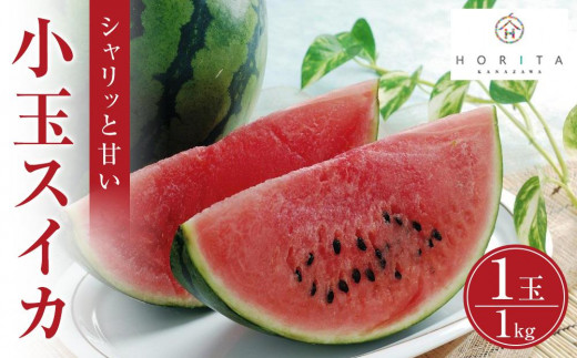 
            【レビューキャンペーン実施中】【2025年6月中旬発送】小玉スイカ 1kg（1玉）スイカ すいか 西瓜 小玉 先行予約 フルーツ 果物  石川 金沢 加賀百万石 加賀 百万石 北陸 北陸復興 北陸支援
          