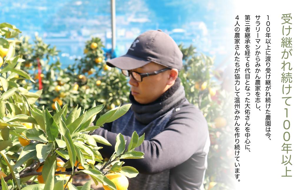 えがおみかん （南柑20号） 5kg みかん 蜜柑 ミカン くだもの 果物 フルーツ 愛媛県 温州みかん  （562-1）