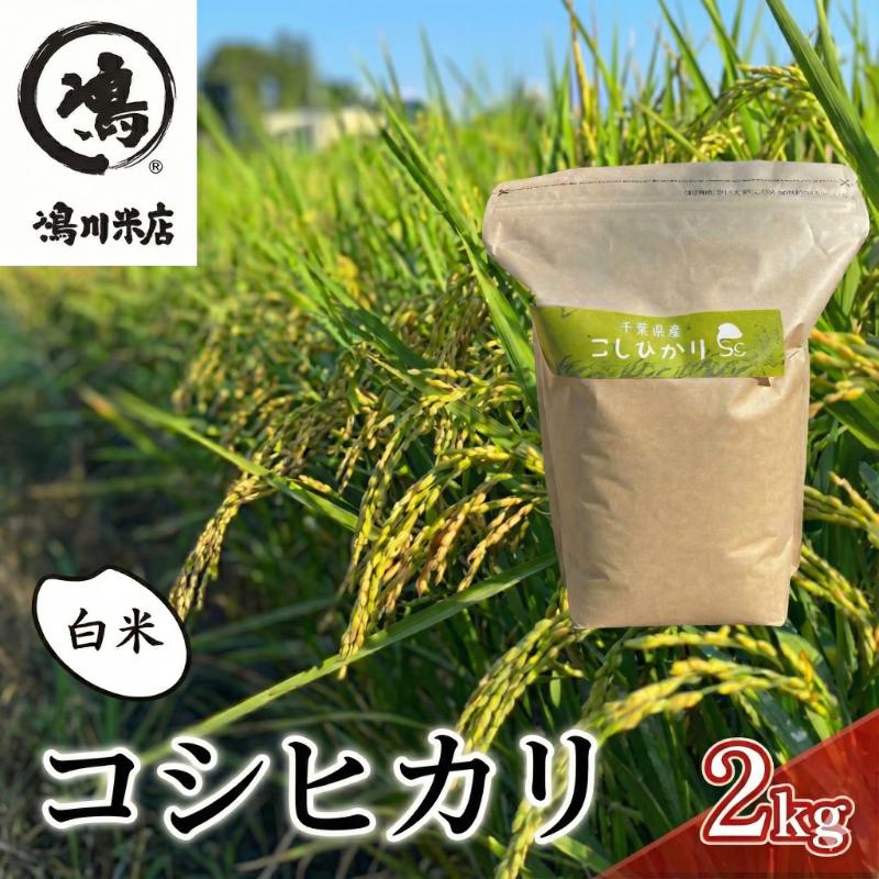 【ふるさと納税】最短出荷 2日から7日以内に発送 千葉産 コシヒカリ 白米 2kg　【 お米 コシヒカリ 米 白米 2kg 】