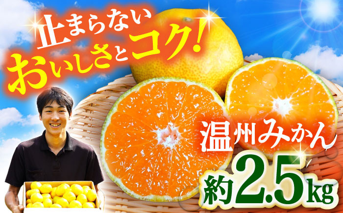 
            【先行予約・11月中旬発送開始】長崎県産 温州みかん 約2.5kg / みかん 柑橘 2.5kg フルーツ 果物 / 大村市 / 山光農園[ACAI001]
          