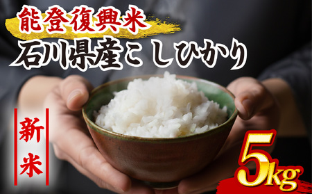 新米 令和7年産 石川県産 こしひかり 5kg 米 【 米 】