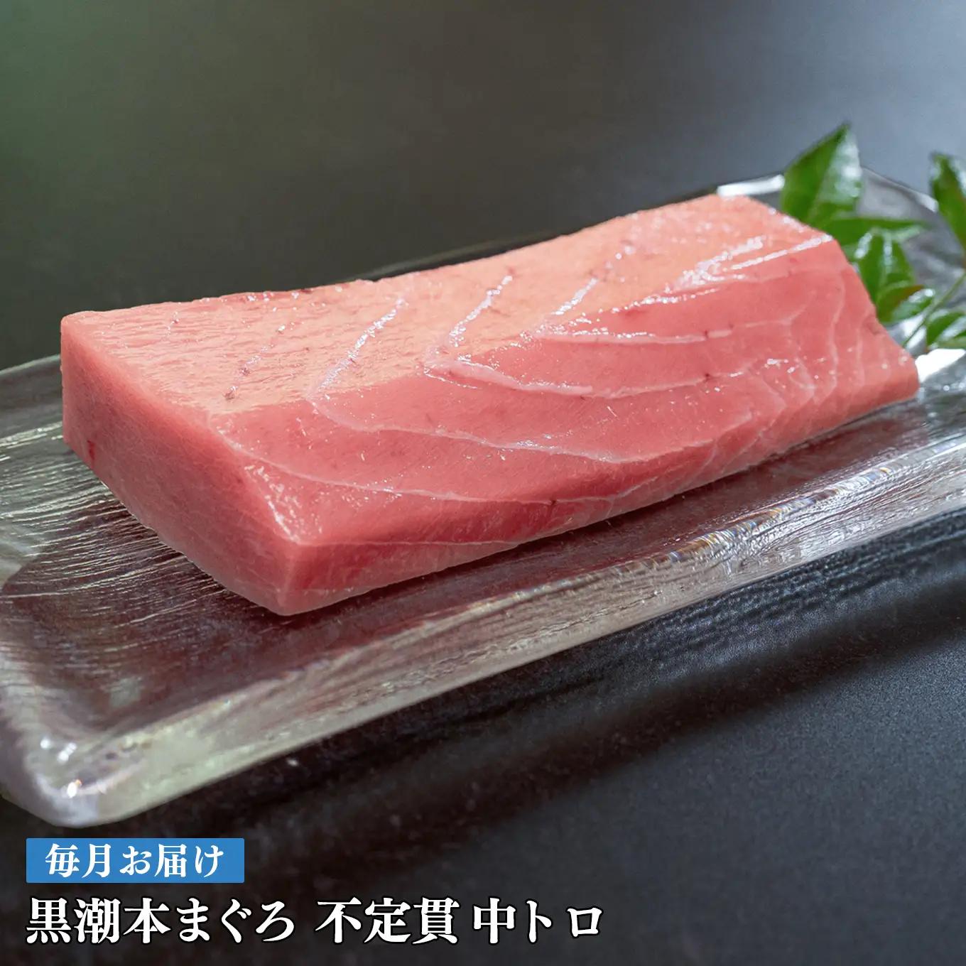 訳あり 不定貫 定期便 12回 高知県産 本マグロ 中トロ 養殖 120g (PT0080_0464)