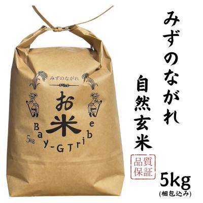 ふるさと納税 沼田市 【 みずのながれ 】令和7年産 群馬県産 沼田のこしひかり 玄米 5キロ コシヒカリ 5kg お米