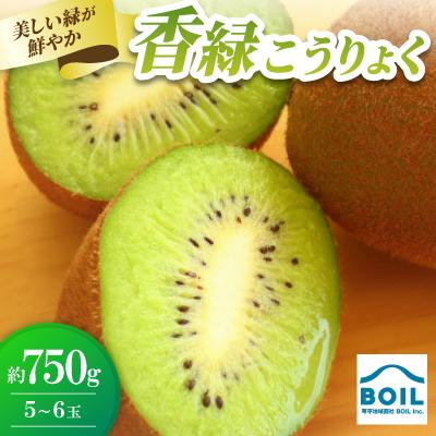 ふるさと納税 香川県 キウイ　美しい緑が鮮やかな　香緑(こうりょく)約750g(5〜6玉)