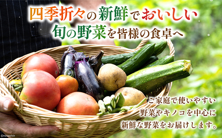 【6回定期便】毎月連続 旬の新鮮 野菜詰め合わせセット（10品-12品）/ 野菜 定期便 やさい 定期便 野菜セット やさいセット 春野菜 夏野菜 秋野菜 冬野菜 旬新鮮 / 南島原市 /長崎県農産品