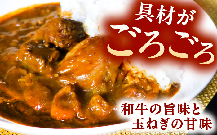 丸小本店 老舗肉屋の淡路島産の玉ねぎまるごと和牛カレー 2人前450g×4個セット レトルト ビーフカレー 国産牛 恵那市 / テンポイント [AUFN014]