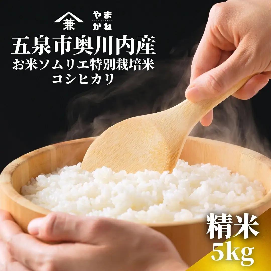 【先行予約】令和8年産 五泉市産 特別栽培米 コシヒカリ 5kg(5kg×1袋)