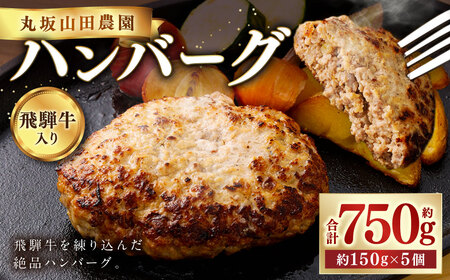 飛騨牛入り ハンバーグ 5個 セット | 丸坂山田農園 飛騨牛 牛肉 肉 お肉 手作り 惣菜