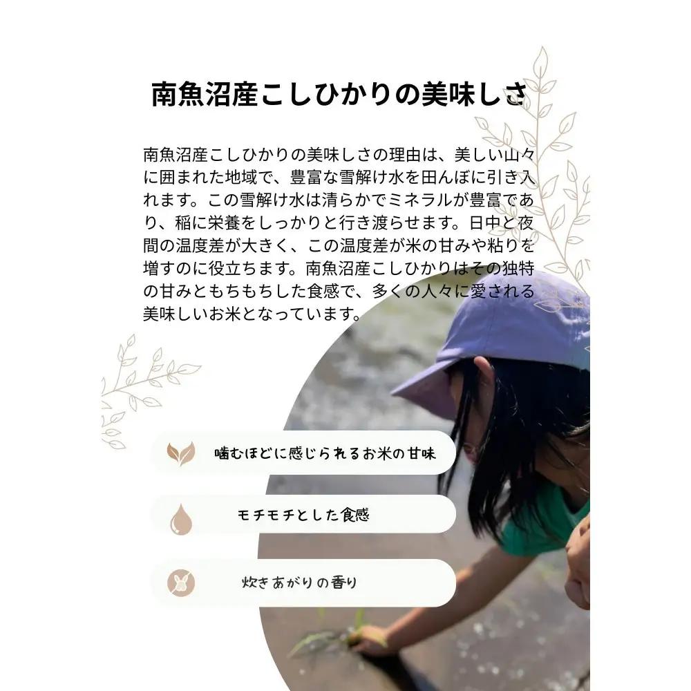 令和7年 南魚沼産こしひかり3kg | コシヒカリ