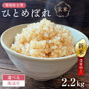 【ふるさと納税】【配送月が選べる】【新米】環境保全型ひとめぼれ 玄米2.2kg【2024年産】 千葉県 南房総市 ブランド米 お米 米 ご飯 米作り 離乳食 お弁当 おにぎり 栄養 赤ちゃん お取り寄せ グルメ 送料無料