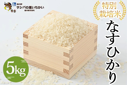 
                  市貝町産 特別栽培米〈なすひかり〉5kg ｜ 国産 栃木県産米 お米 特別栽培米 精米 白米 栃木米 とちぎ米 ※2026年9月～発送
                