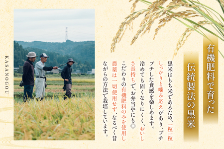 黒米 令和7年 200g 2袋 計400g 石川県産 無農薬