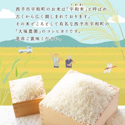 ふるさと納税 西予市 <令和8年産愛媛県西予市産 コシヒカリ 5kg>国産 愛媛県産 宇和町産 宇和米 こしひかり |  | 01