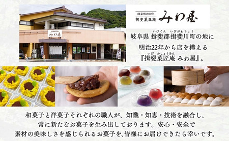 焼き菓子 2種 セット いび石ころころ 6種 7袋 悠久のさざれ石 2種 2袋 焼き菓子 お菓子 スイーツ クッキー メレンゲ 手土産 ご褒美 プレゼント 個包装 みわ屋 送料無料 岐阜県 揖斐川町