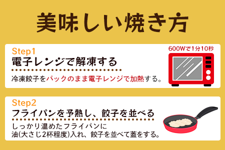 【数量限定！】＜ごぼう餃子(12ヶ入×5パック)＞【MI284-fu】【福栄生餃子店】