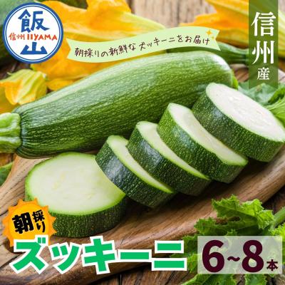 ふるさと納税 飯山市 朝採り!! 新鮮ズッキーニ 約6〜8本 《生産者直送》岸田農園