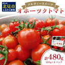 【ふるさと納税】【受付は9月1日まで】糖度10％以上！オホーツク海の海水でつくったソルティースイーツ オホーツクトマト ( トマト オホーツク海 海水 甘い とまと 野菜 フルーツトマト 高糖度 )