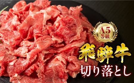 【6回定期便】飛騨牛 A5 350g ちょっと良い 切り落とし 牛肉 和牛