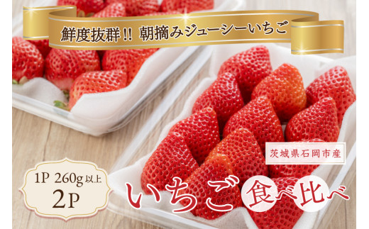 いちご 旬の苺 食べ比べセット 2p Rafすとろべりーふぁーむ イチゴ 苺 2パック 国産 果物 フルーツ くだもの 1月 2月 3月 発送 冬 旬 産地直送 農家直送 産直 甘い デザート スイーツ 家庭用 贈答 贈答用 茨城 茨城県 石岡市 (A27-003)