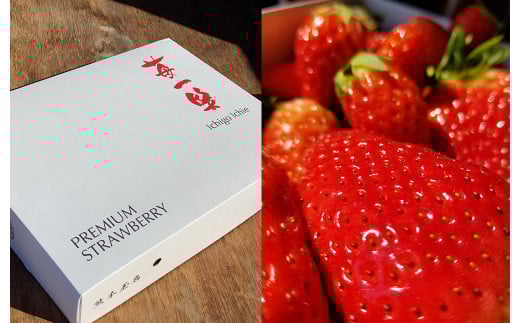 熊本県産 いちご （恋みのり）2パック 約500g 苺 恋みのり こいみのり【2026年1月上旬発送開始】