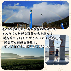 旬野菜 詰め合わせセット おまかせ 阿武町産 産地直送