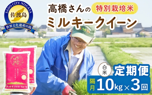 【定期便 令和8年産新米 全3回】 佐渡島産ミルキークイーン 白米 10kg 令和8年産新米 特別栽培米 高橋農園 | 新潟県産ミルキークイーン 佐渡産ミルキークイーン ミルキークイーン お米 米 白米 精米 おこめ コメ 10キロ にいがた さど 新潟県 佐渡市