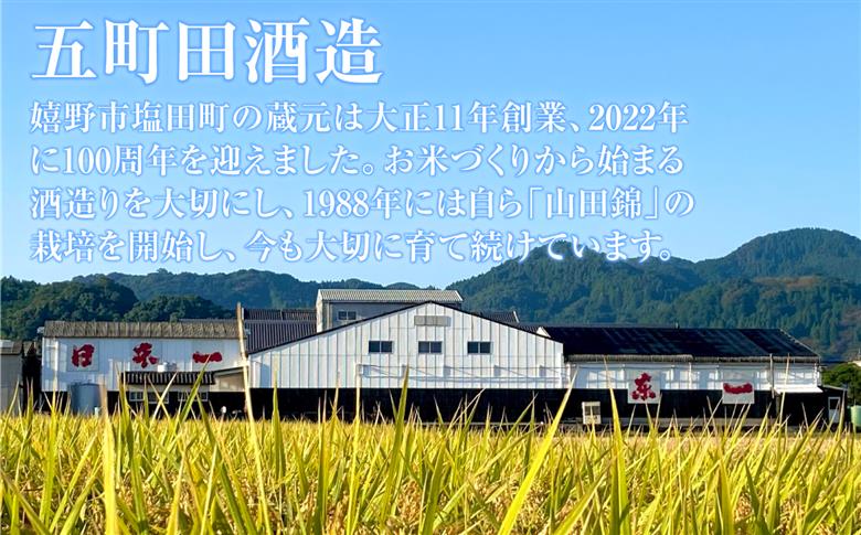 東一 純米吟醸・山田錦純米酒 720ml×2本 / 日本酒 / 佐賀県 / 有限会社嬉野酒店 [41AIAA018]