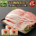 【ふるさと納税】【定期便/計6回】（飼育期間中）完全無薬！梅肉エキス肥育 天草梅肉ポーク しゃぶしゃぶ用 750g×6回 合計4.5kg 2ヶ月に1回 計6回 農林水産大臣賞受賞 豚肉 肉 お肉 梅肉エキス 冷凍 国産 送料無料