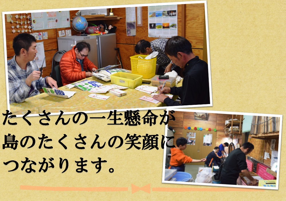 《2026年春お届け！》福祉作業所の仕事にもつながる！徳之島の“新”じゃがいも（3kg）( バレイショ 野菜 旬 春 徳之島 奄美 鹿児島 肉じゃが カレー じゃがバター 美味しい 人気 オススメ 福