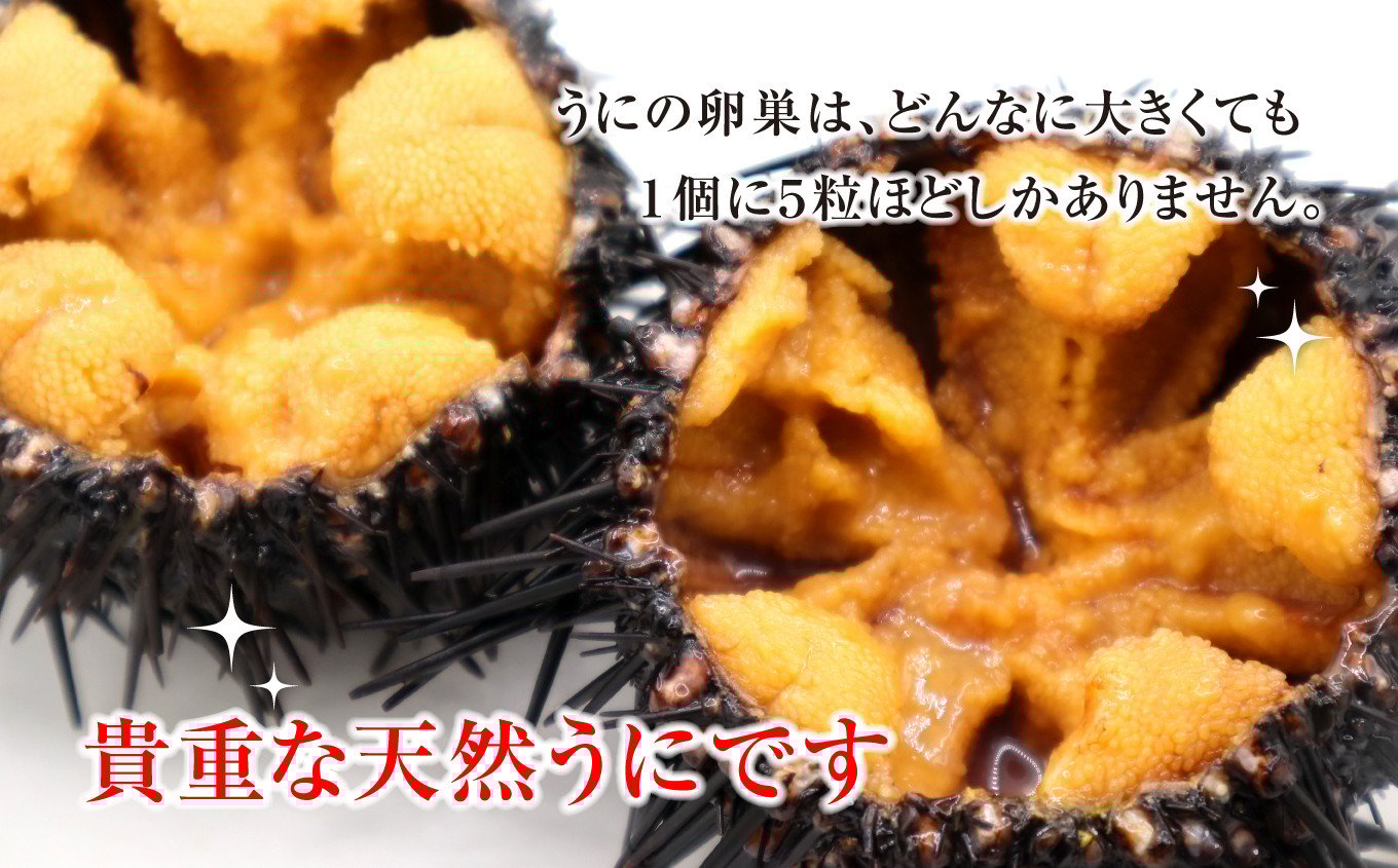 大槌でも1度に収穫していい量が制限されています