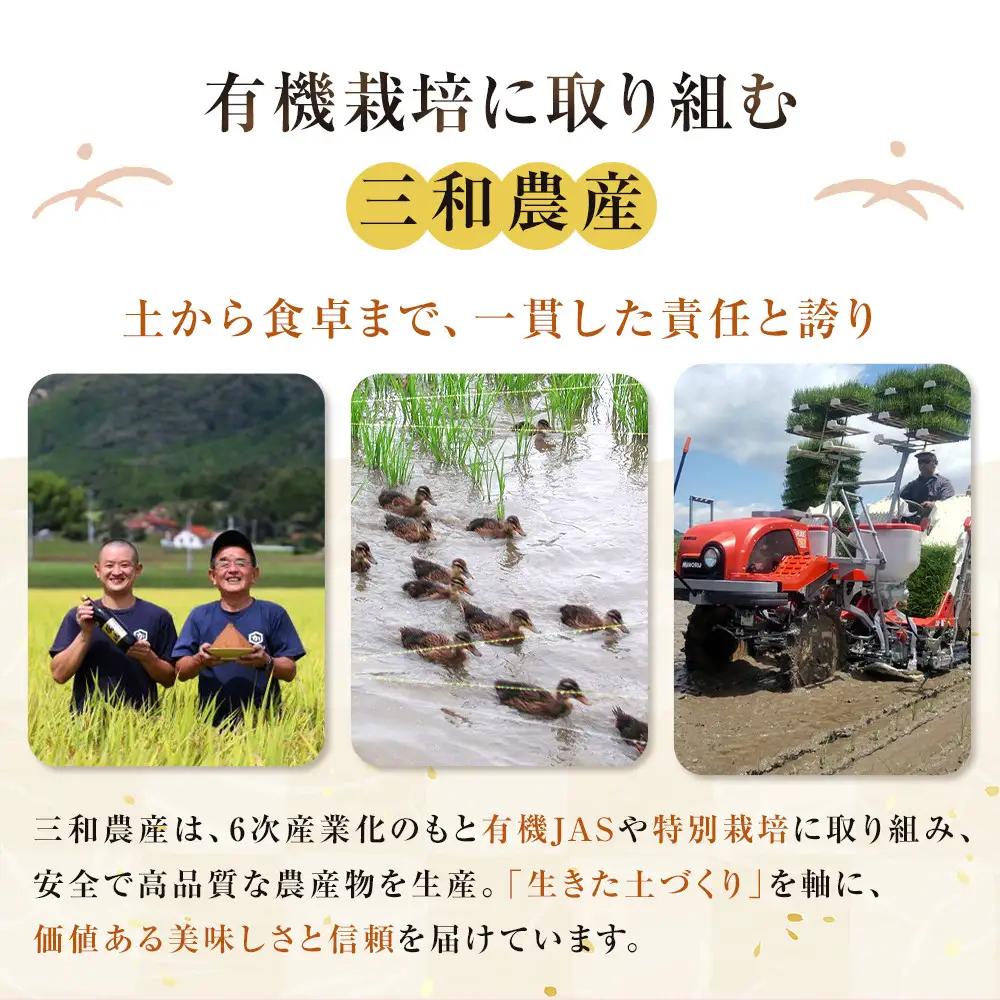 かむほどに口に広がる美味しさ　玄米おかき２種セット「いづも美人」