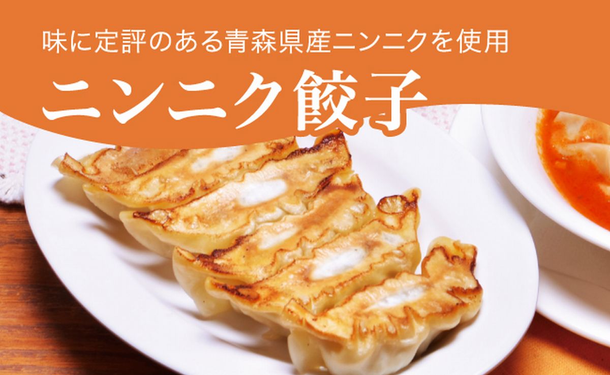 【ふるさと納税】「宇都宮餃子館」ニンニク餃子 960g（48個）｜ギョーザ 冷凍餃子 冷凍食品 グルメ 食品 惣菜 中華惣菜 点心 中華 送料無料