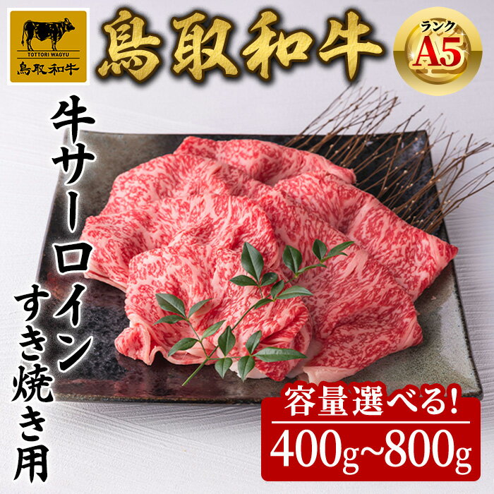 【ふるさと納税】＜容量選べる＞A5鳥取県産黒毛和牛サーロイン すき焼き用(計400g～800g) 国産 鳥取和牛 黒毛和牛 牛肉 赤身 サーロイン すき焼き しゃぶしゃぶ 【sm-DH002】【カタセイ】