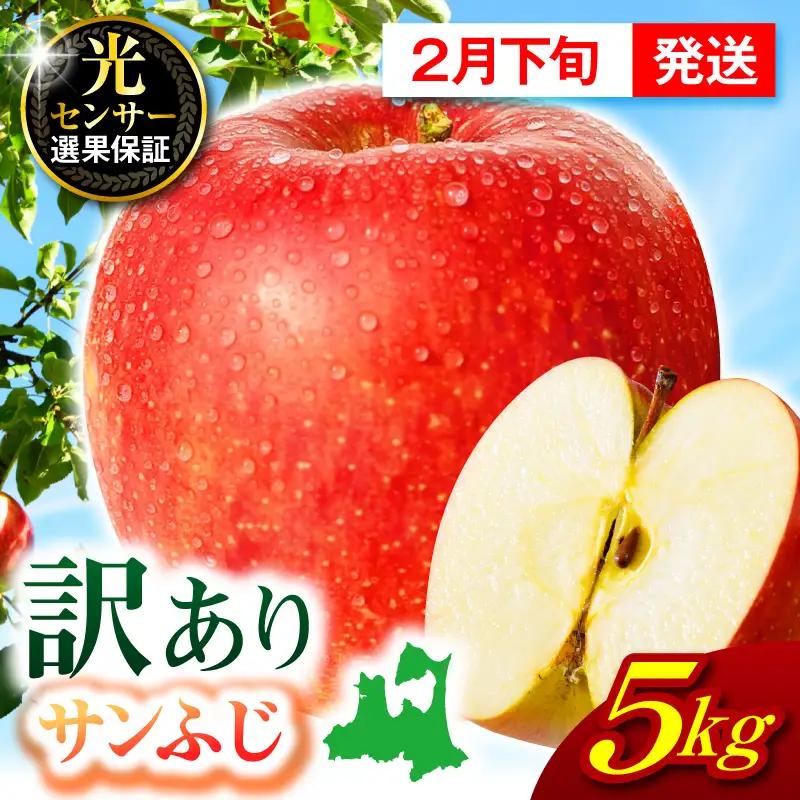 【2027年2月下旬発送】【訳あり】 りんご 約5kg サンふじ 青森 家庭用 りんご