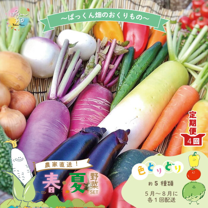 【ふるさと納税】【早期受付 4回 定期便 】 春・夏 野菜セット 約5種類 とれたて 新鮮 ぱっくん畑のおくりもの 農家直送 国産 野菜 やさい 予約 高知県 高知 四万十市 四万十 しまんと 野菜便 詰め合わせ お取り寄せ 送料無料 【2026年5月～8月まで毎月1回発送】25-057
