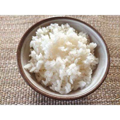 ふるさと納税 池田町 風さやか　白米3.3kg |  | 01