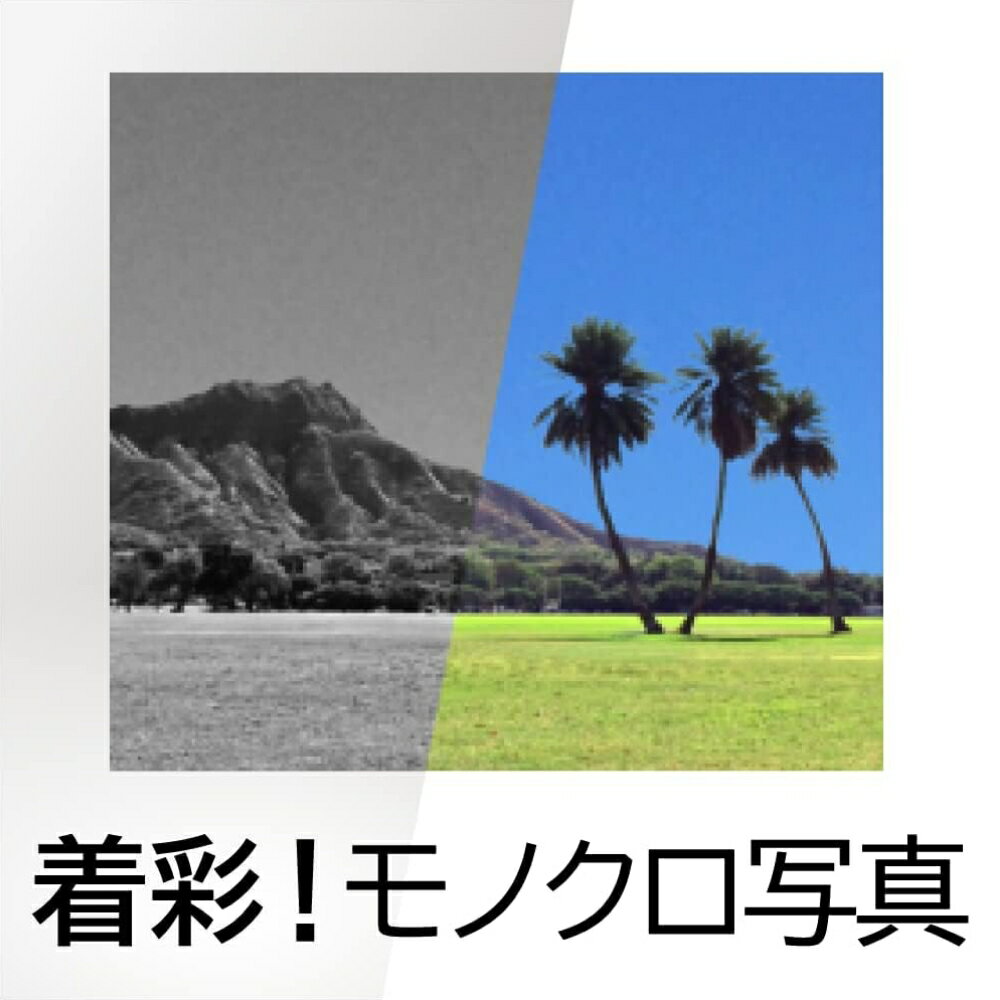 【ふるさと納税】 着彩！モノクロ写真 カード版 東京都 渋谷区 変換ソフト 写真着色ソフト カラー写真 簡単 着彩 色味調整 トリミング 編集可能 ソースネクスト株式会社 送料無料