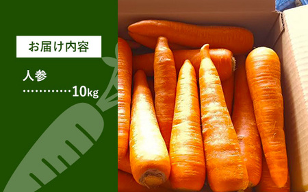 【きあり農園】2026年度 幸手市産 人参 10kg - 採れたて にんじん ニンジン 産地直送 野菜 ベジタブル 美味しい おいしい 根菜 煮物 炒め物 カレー サラダ おすすめ 送料無料 埼玉県 