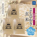 【ふるさと納税】令和6年産 真室川町 コシヒカリ ［玄米］ 30kg 定期便（10kg×3回お届け）