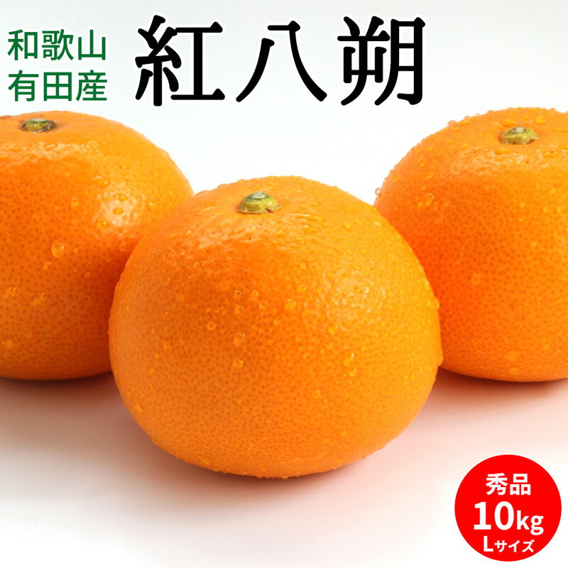 【ふるさと納税】【2026年先行予約】紅八朔 秀品 約10kg Lサイズ 和歌山県有田産【はっさく ハッサク 八朔 和歌山】