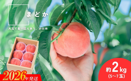 No.2991 福島県福島市産もも「まどか」約2kg(5～7玉)【2026年発送】