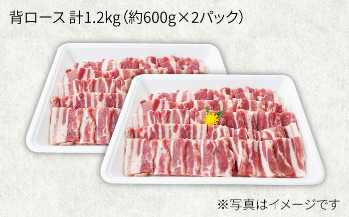 【月1回約1.2kg×12回定期便】大西海SPF豚 背ロース（焼肉用） 訳あり ＜大西海ファーム＞ [CEK128]