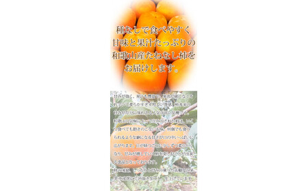 【ご家庭用わけあり】和歌山秋の味覚　平核無柿（ひらたねなしがき）　約3.5kg　※2024年10月上旬頃?2024年10月下旬頃に順次発送【uot740】