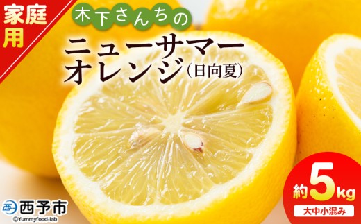 ＜木下さんちのニューサマーオレンジ 家庭用 約5kg（大中小サイズ混み）＞ 柑橘類 日向夏 ミカン 蜜柑 果物 くだもの フルーツ 国産 特産品 木下農園 愛媛県 西予市【常温】『2026年4月上旬～5月上旬に順次出荷』