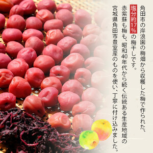 角田市 岸浪園　梅干し 100g×12パック 限定300個
